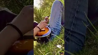 Ukulele | System Of A Down