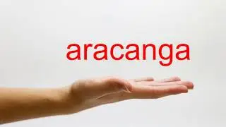How to Pronounce aracanga - American English