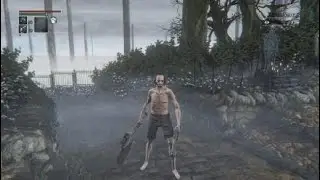 Bloodborne™ просто играю