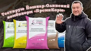 ПремиКорм. Вес бройлеров в 14 дней.