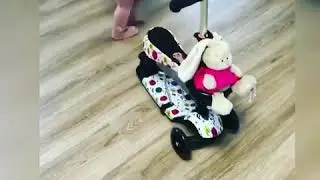 Самокат Scooter Принт 3 в 1