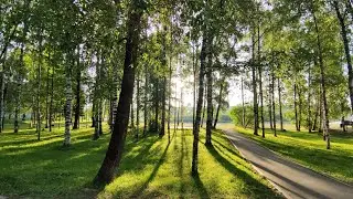 27.07.2024. Syktyvkar. Прогулка ранним утром.