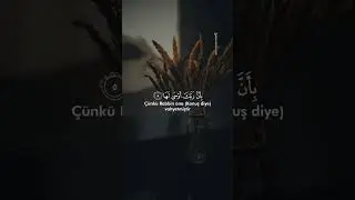 zilzâl suresi - Muhammed el fakih #kurantilaveti #kuranıkerim #kuranmealleri #zilzalsuresi