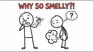 The REAL Reason Your Farts Smell SO BAD! 💨 (Science Explained)