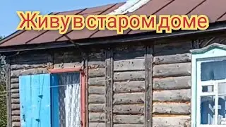 Деревня в Волгоградской обл. Живу по старинке.  Готовлю томатную пасту.Летняя кухня как у бабушки
