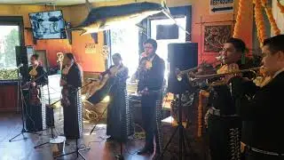 EL SINALOENSE: MARIACHI RAICES DE MI TIERRA DE SAN FERNANDO VALLEY CA
