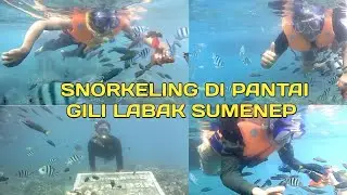 Snorkeling Di Pulau Gili Labak Sumenep Madura