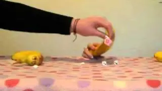 Bananna randomness!