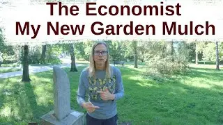 Russian Economy is Soaring - The Economist's Claim