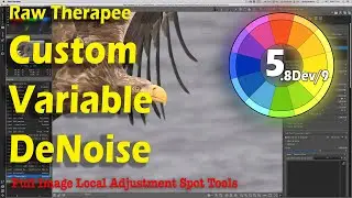 Raw Therapee Noise Reduction - New Tools Basics