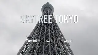 SKYTREE TOKYO: The tallest tower in the world! |Manny Ramos