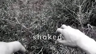 Imagine filming this when you only wanted an ASMR pt 2