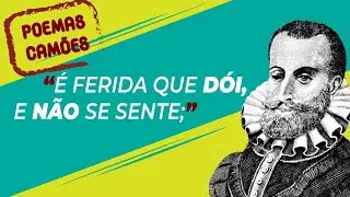 "Amor é fogo que arde sem se ver..."