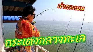 ตามล่ากระเบน กระเตงกลางทะเล ไต๋วิชาญ [Part 1/2] || ตกไปเรื่อย EP.49