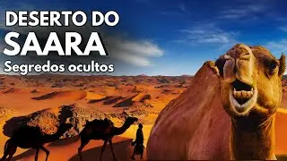 DESERTO DO SAARA: Os Segredos Ocultos do Maior Deserto do Mundo - Documentário animais