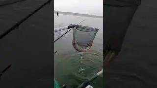 Шардара отчёт