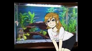 Smile alotl, like an axolotl!