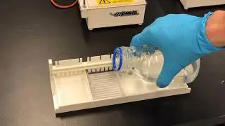 PCR demonstration