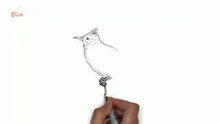 Как нарисовать жаворонка.