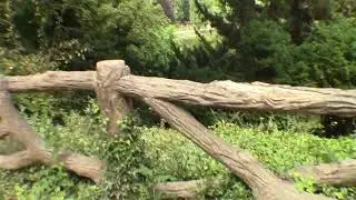 1503 2017 LE PARC DES BUTTES CHAUMONT