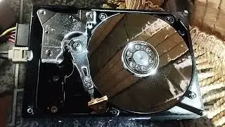 Мертвый WD10EARS