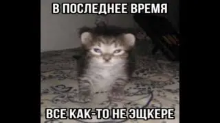 играем разные игры
