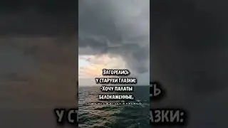 9 июля 2024 г.