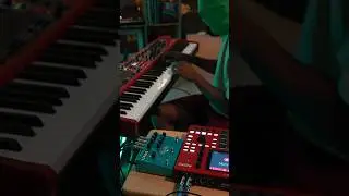 Guitar Pedal with Nord
