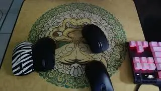 Review Rapido Ninjutso Sora