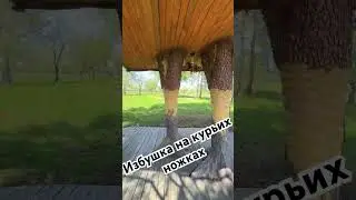 Детская мечта.Дом на дереве.Избушка на курьих ножках.