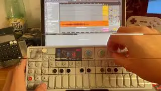 OP-1 SET #1