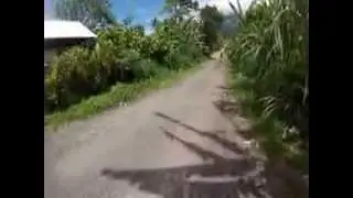 Bali Cycling Tour Jatiluwih Tabanan