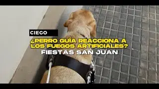 ¿Ciego puede moverse con su Perro Guía en las fiestas de San Juan? (Fuegos Artificiales) 🦮🎆