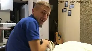 Как же быстро Фунтик учится новой команде