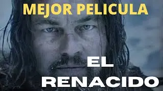 EL RENACIDO - MEJOR PELICULAS DE ACCIÓN Películas - mejores películas