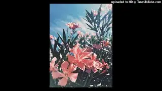 Brent Faiyaz x Tyler the Creator ~ “Magnetic” ft. Steve Lacy Type Beat | prod. by dt!*
