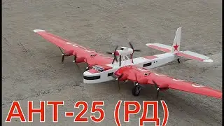РУ модель самолета АНТ-25 (РД) | RC model airplane ANT-25