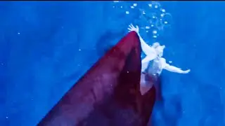 凶狠巨鲨变异兽性大发！把博士拖到水里一口吞噬！【血鲨1 Horror Shark】| 灾难 / 冒险 | 经典大本营