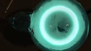 Toroidal Plasmoids: Shapes And Dynamics