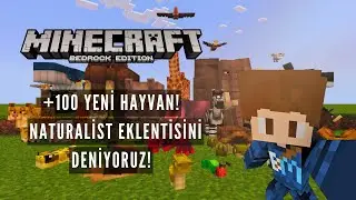 Minecraft | Naturalist Eklentisini Deniyoruz +100 Yeni Hayvan!!!