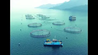 Fish Farm Installation Process Animation