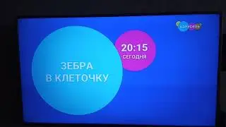 Анонс зебра в клеточку карусель июль 2020