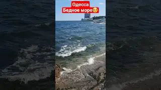 ОДЕССА❗️27.06.2023😥БЕДНОЕ МОРЕ❗️ 