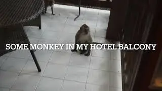 My hotel room in Langkawi Malaysia