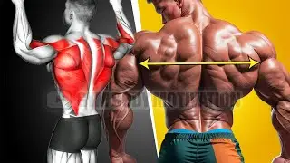 7 Best Back and Biceps Exercises For Growth