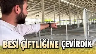 SÜT ÇİFTLİĞİNİ BESİ ÇİFTLİĞİNE ÇEVİRDİK