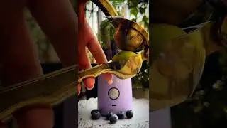 Blueberry Mojito BlendJet Recipe