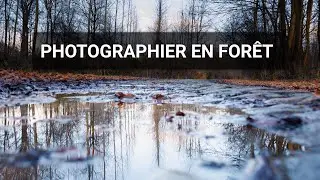 LANDSCAPE PHOTOGRAPHY : shoot in the forest ! POV with Canon R6 + RF 24-105mm F4-105mm F4-7.1 IS STM