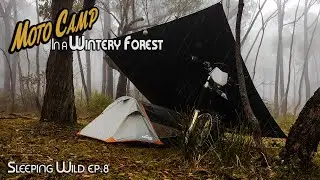 Motorcycle Camping Solo In A Wintery Forest | Silent Vlog