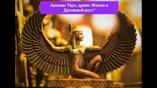 Как выбрать путь, с чего начать? Древо жизни и Духовный рост. от 21.11.23 г.